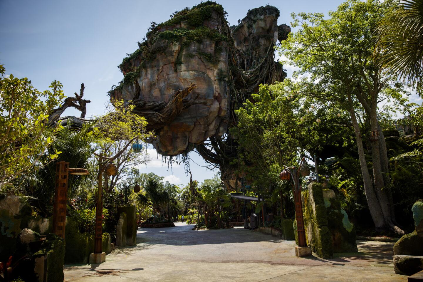 Inside Disney World's Pandora
