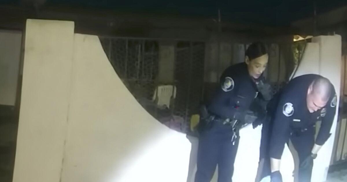 Sexual assault suspect dies after beating by bystanders in Santa Ana