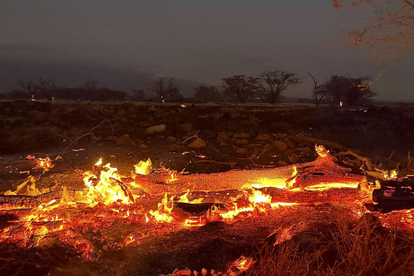 Maui wildfire: Here's how you can stay safe during a wildfire