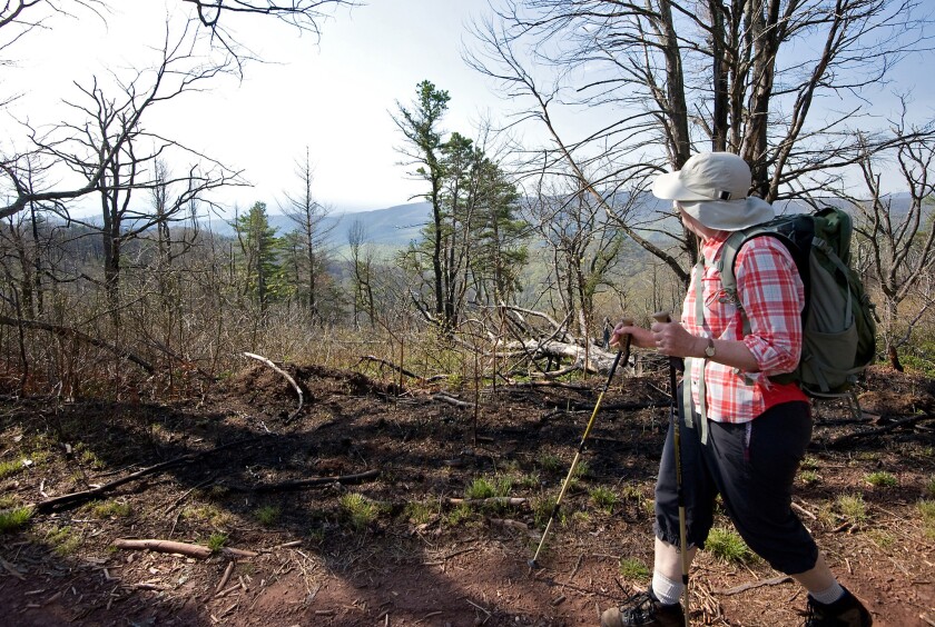 Lynn Cameron hiking last year in the George Washington National Forest in Virginia. A federal plan released Tuesday will allow fracking in parts of the forest.