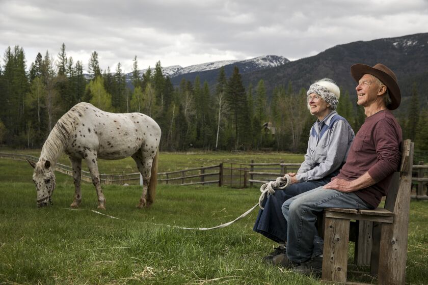 Bigfork, Montana - May 17: Cheryl Palmer, 78, left, and Cliff Palmer, 77, were college friends 1966 when they learned Cheryl was pregnant. Both in fear of having a child terminated the pregnancy. Palmers now live on a farm and breed horses in Bigfork, Montana. (Irfan Khan / Los Angeles Times)