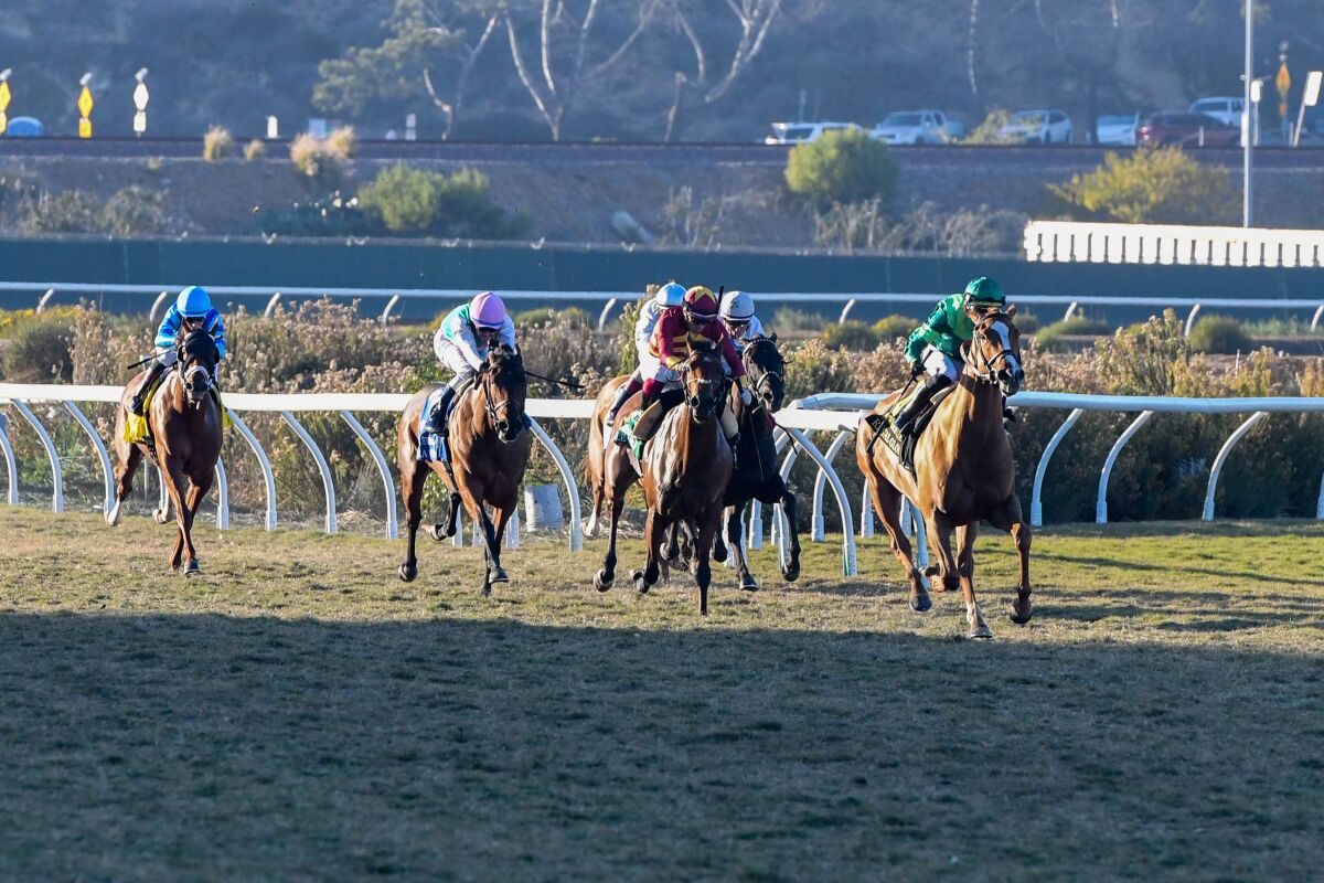 Del Mar's Turf Festival will begin on Thanksgiving Day, Nov. 24, and end on Closing Day, Dec. 4.