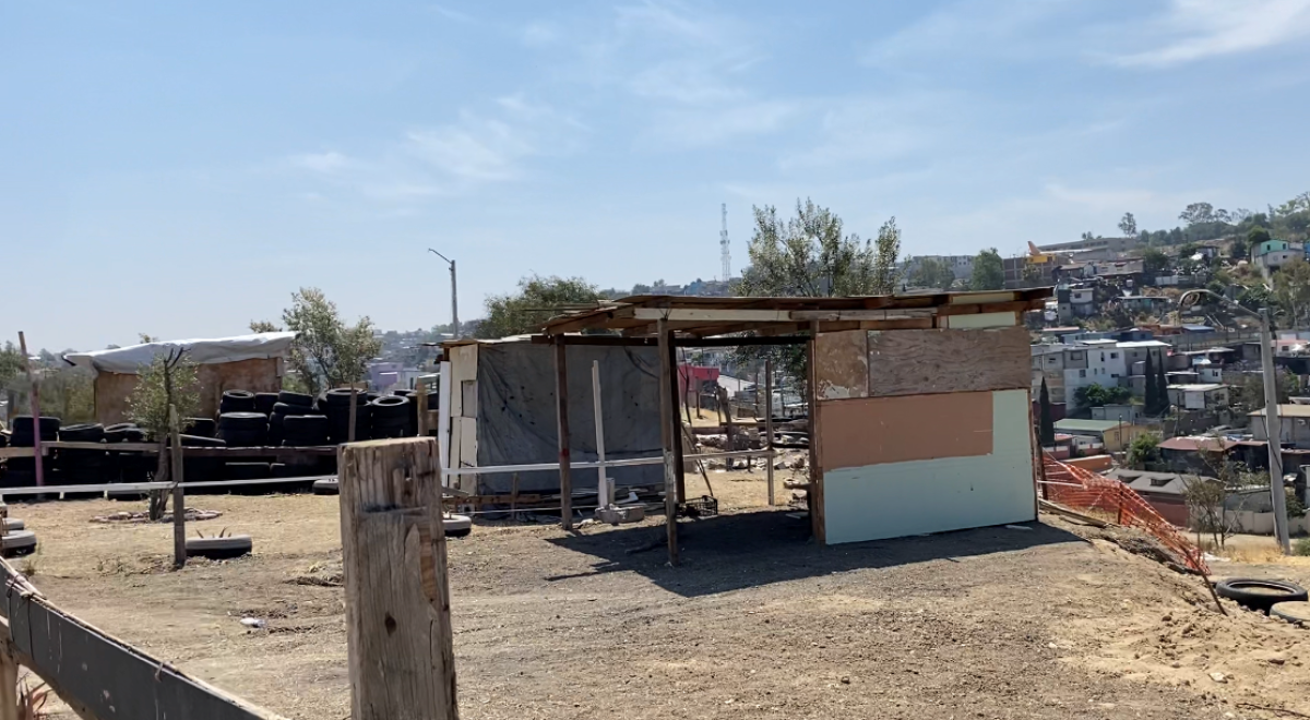 A shack constructed of wood and cardboard.