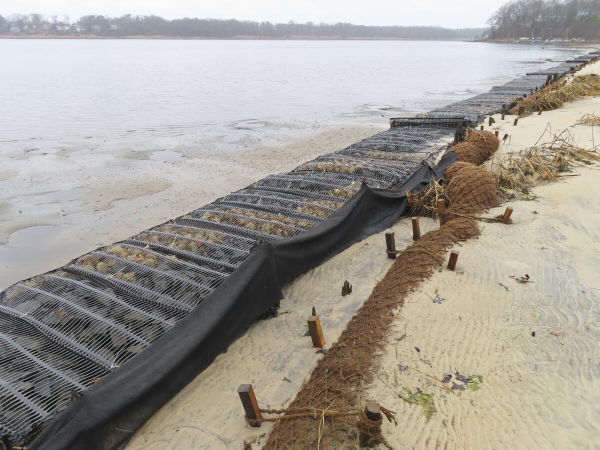A shoreline lined with logs of coconut husk known as coir.