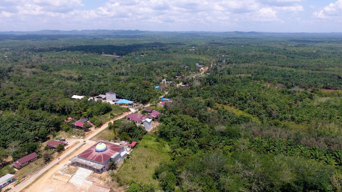 Aerial view of East Kalimantan, Sepaku, Indonesia