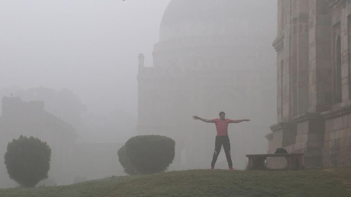 A man exercises in the Lodhi garden in New Delhi.