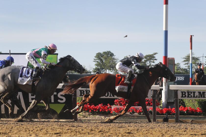 Sir Winston (7), with jockey Joel Rosario up, crosses the finish line ahead of Tacitus (10), with jockey Jose Ortiz up, to win the 151st running of the Belmont Stakes horse race, Saturday, June 8, 2019, in Elmont, N.Y. (AP Photo/Julie Jacobson)