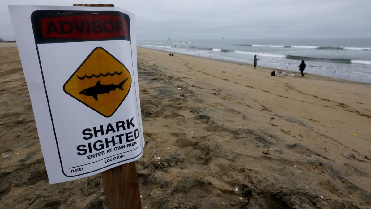 Lifeguards are keeping a stretch of shoreline between Sunset Beach and Bolsa Chica State Beach closed to swimmers and surfers after a shark sighting.