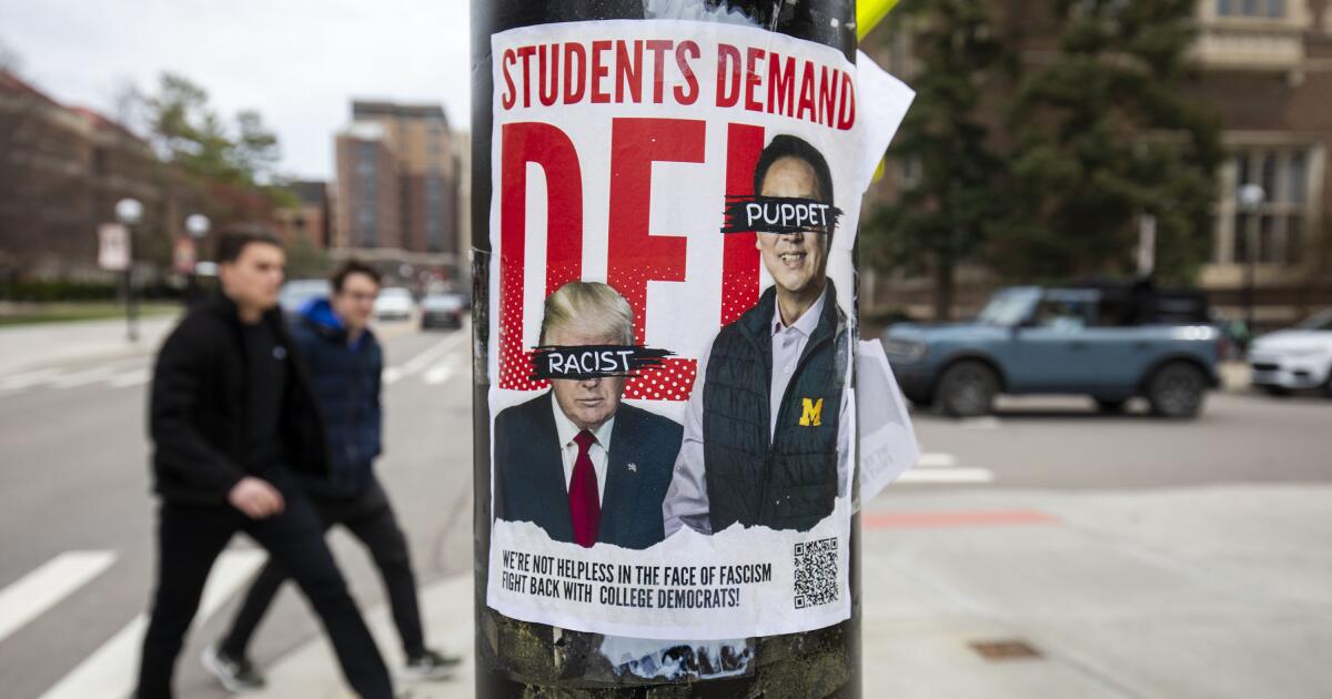 Contributor: DEI is a path to meritocracy, not another Contributor: DEI is a path to meritocracy, not another