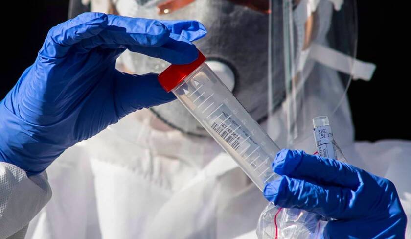 Revelan que la vacuna experimental "desarrolló anticuerpos neutralizadores".