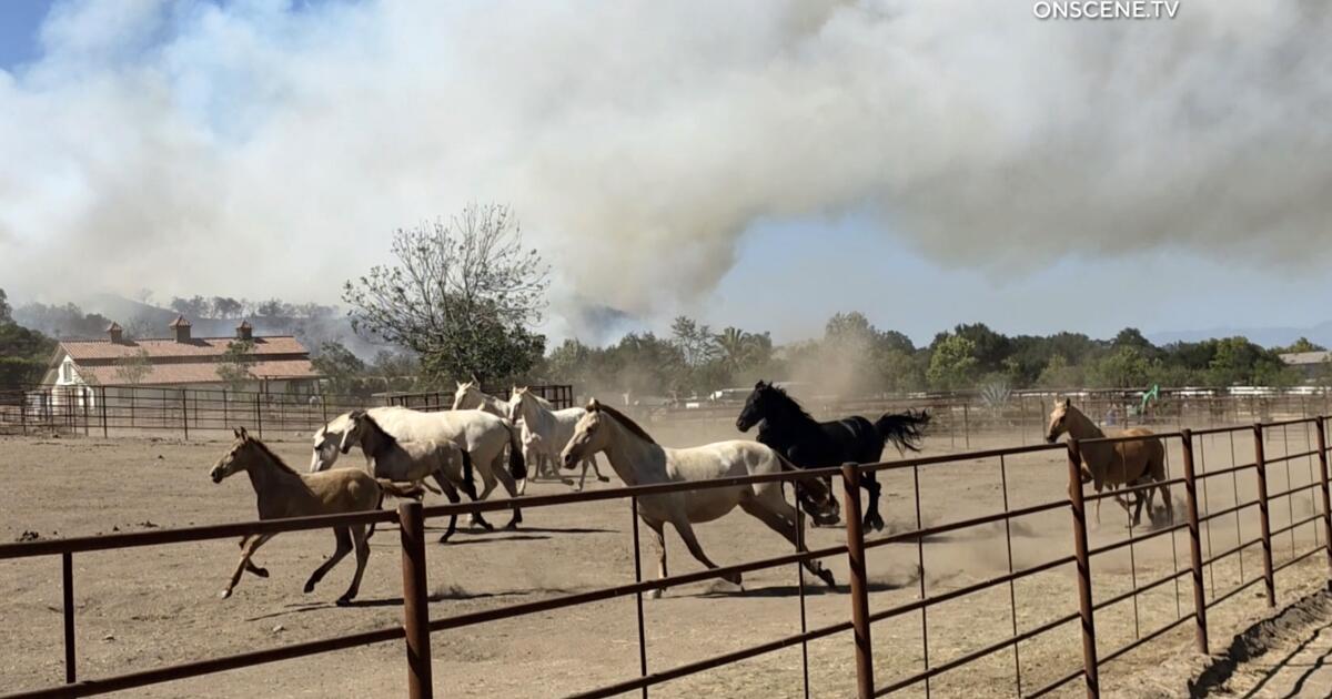 Un incendie de forêt a évacué la région de Riverside, tandis que d’autres restent en alerte