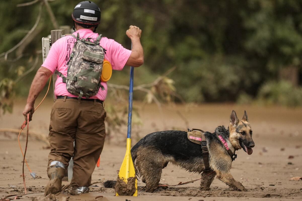 Un equipo de búsqueda y rescate,