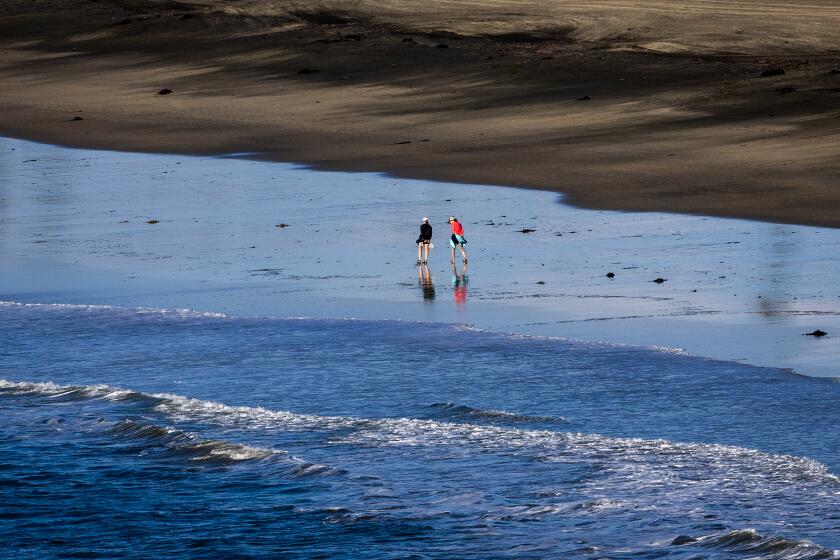 Bay Area Sports Broadcasting Legend Greg Papa Reveals Cancer Diagnosis bay-area-sports-broadcasting-legend-greg-papa-reveals-cancer-diagnosis