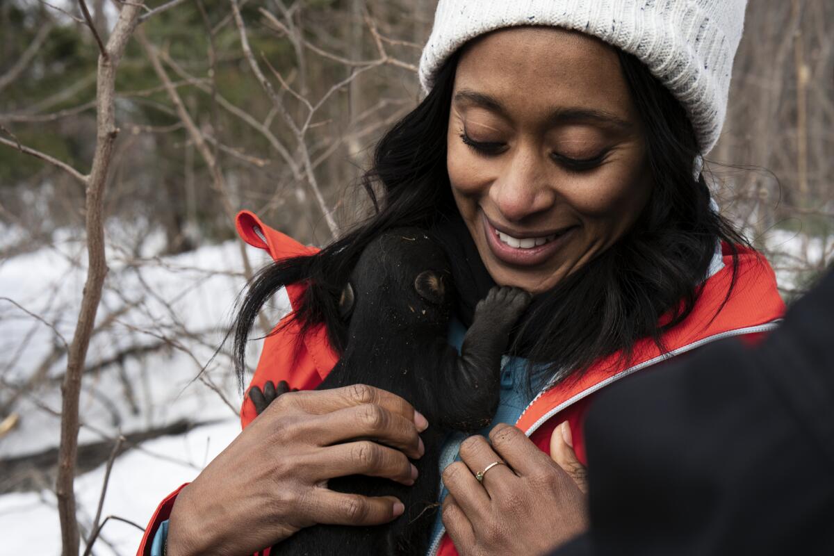 Ecologist Rae Wynn-Grant keeps a young cub warm in her coat while other scientists record data with the cub's mother and sibling.