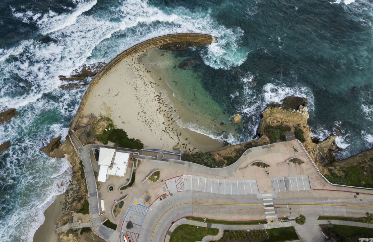 The La Jolla Children's Pool and neighboring parking lot are closed due to the coronavirus, shown here on March 26, 2020.