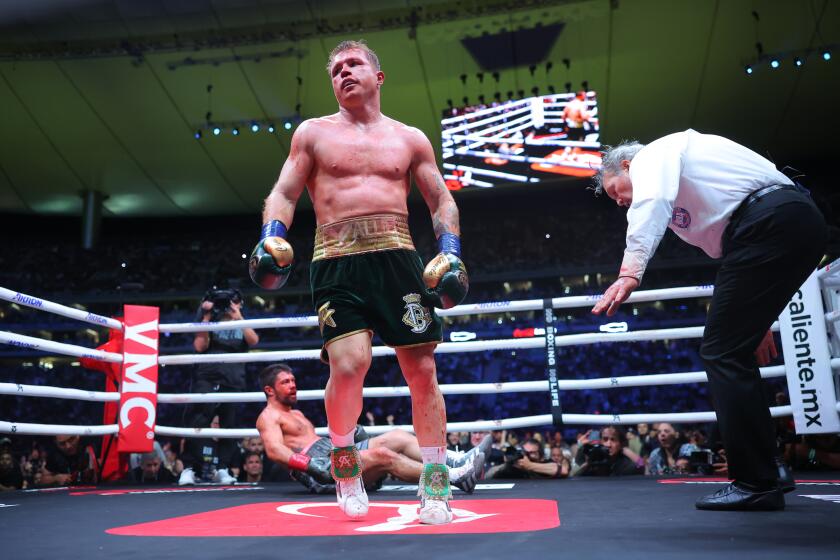 ZAPOPAN, MEXICO - MAY 06: Canelo Alvarez of Mexico reacts as John Ryder of Great Britain lies on the canvas during the fight for the Super Middleweight Championship at Akron Stadium on May 06, 2023 in Zapopan, Mexico. (Photo by Hector Vivas/Getty Images)