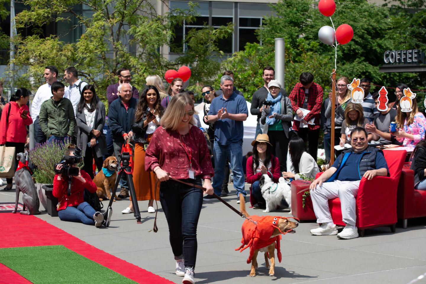 Amazon dog culture in Seattle