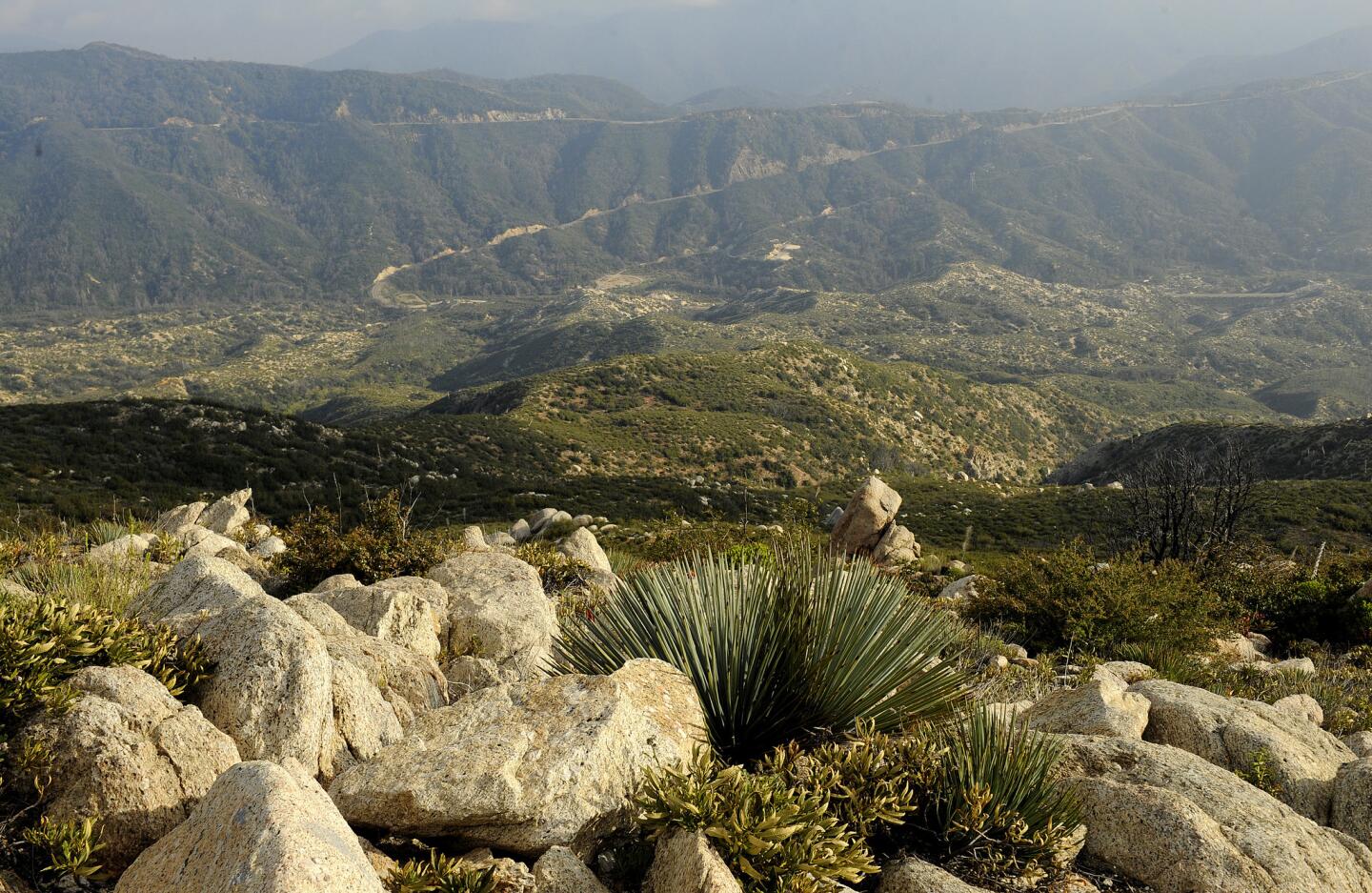 At the high point of the hike in the Angeles National Forest, about 35 miles northeast of downtown L.A., there are 360-degree views. On a clear day, you can see Mt. Wilson, downtown and even the ocean.