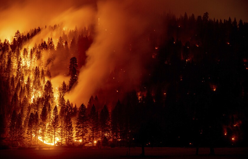 Flames engulf a forest in Genesee, California