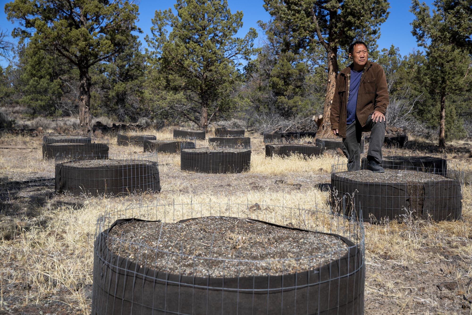 Hmong retiree Bee Xiong stands on a former outdoor marijuana grow his 40-acre ranch the Mount Shasta Vista subdivision
