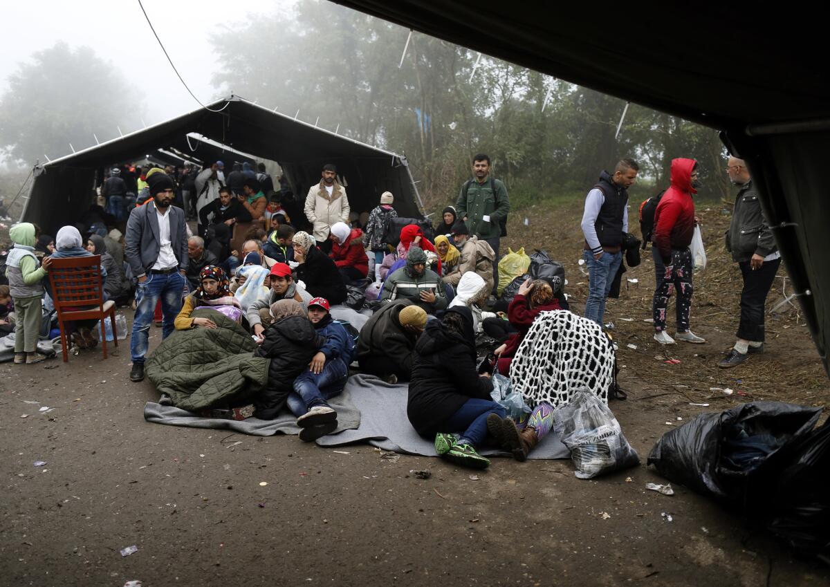 Un grupo de migrantes esperan para cruzar en la frontera entre Serbia y Croacia, cerca de la localidad de Berkasovo, a unos 100 km (62 millas) al oeste de Belgrado, Serbia, el 18 de octubre de 2015. (Foto AP/Darko Vojinovic)