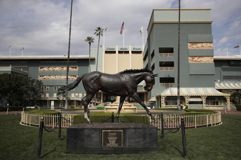 FILE - In this March 5, 2019, file photo, a statue of Zenyatta stands in the paddock gardens area at Santa Anita Park in Arcadia, Calif. An investigation into numerous horse deaths at Santa Anita Park found no criminal wrongdoing but produced a list of recommendations for improving safety at all California racetracks, the Los Angeles County district attorney said in a report Thursday, Dec. 19, 2019. (AP Photo/Jae C. Hong, File)
