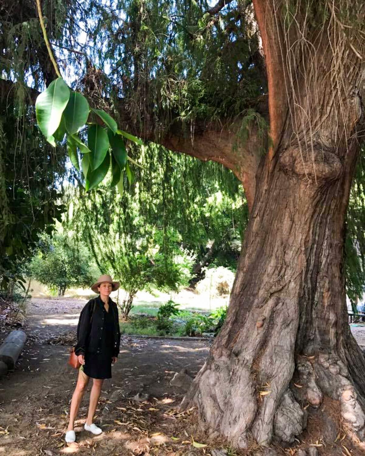 A woman standing next to a huge tree.
