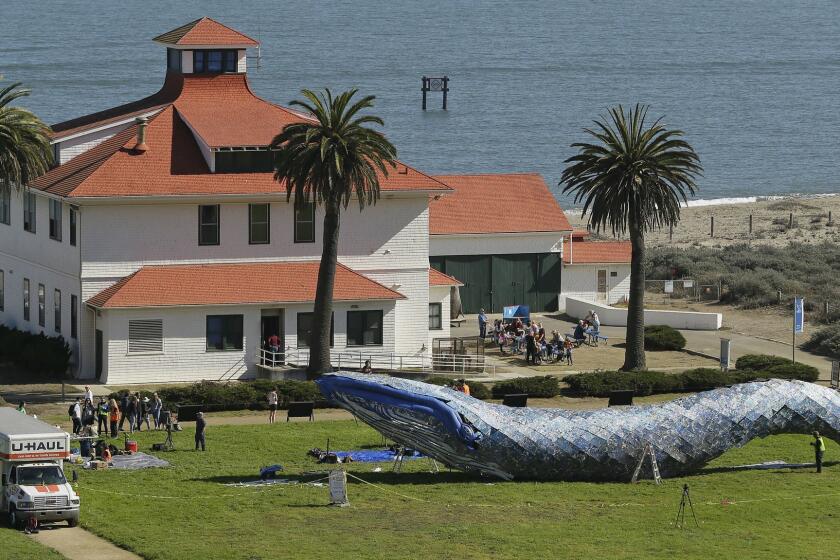 Artist Joel Deal Stockdill, lower right, works on a blue whale art piece made from discarded single-use plastic at Crissy Field Friday, Oct. 12, 2018, in San Francisco. Artists are putting the finishing touches on an 82-foot-long (24-meter-long) blue whale made from discarded plastic that will be in display near San Francisco's Golden Gate Bridge to raise awareness about ocean pollution. The Monterey Bay Aquarium said Friday a blue whale can weigh about 300,000 pounds, about the amount of plastic that ends up in the ocean every nine minutes. (AP Photo/Eric Risberg)
