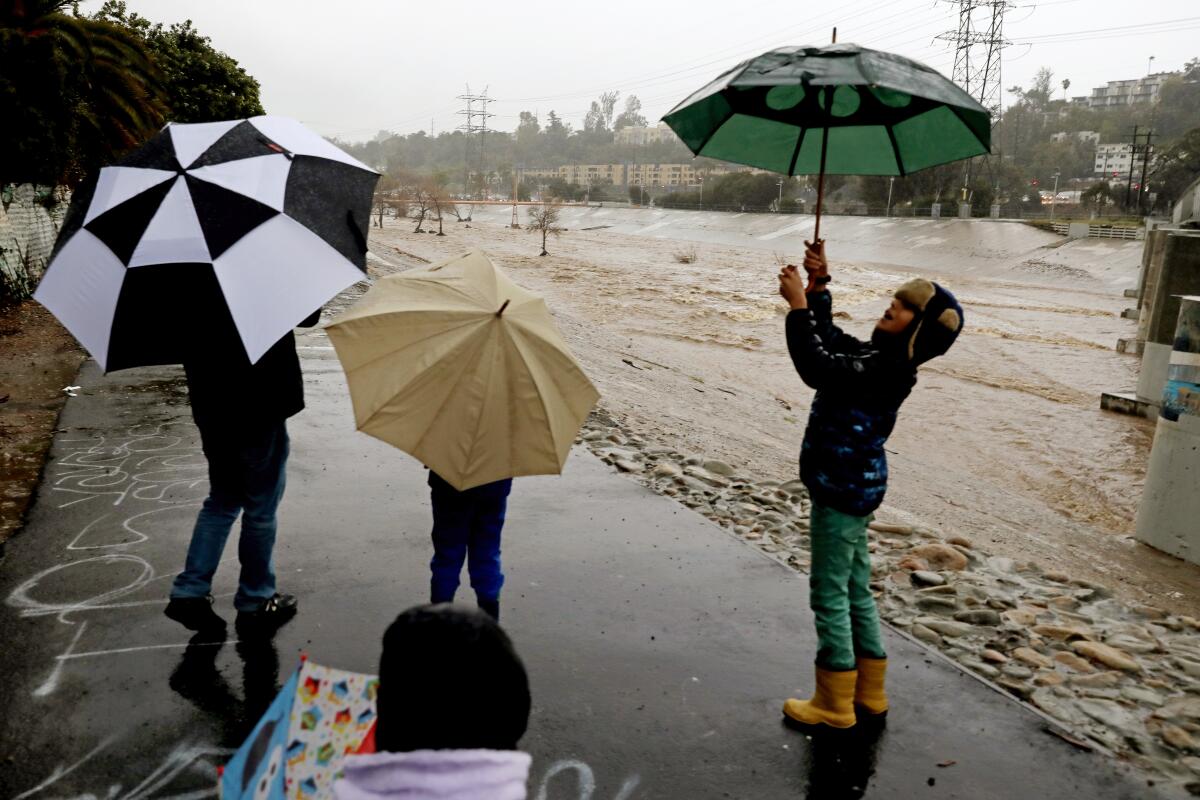 Family members hold umbrellas as they look at the water in the Los Angeles River.