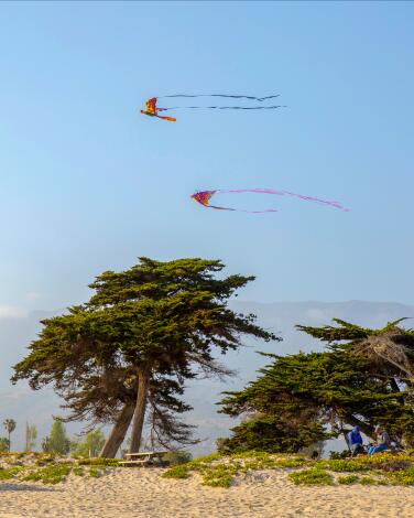 PASADENA, CA - MAY 09: Kites fly along the shore at Carpenteria State Beach on Sunday, May 9, 2021 in Pasadena, CA. (Brian van der Brug / Los Angeles Times)