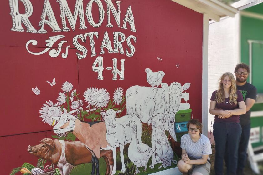 Artists, from left, Hope Ash, Natalie Ash and Oliver Booth show their mural artwork halfway through the project.