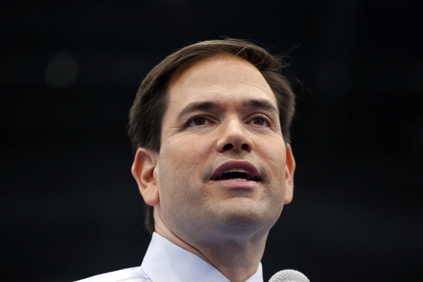 Florida Sen. Marco Rubio has declined to withdraw his criticism of Donald T