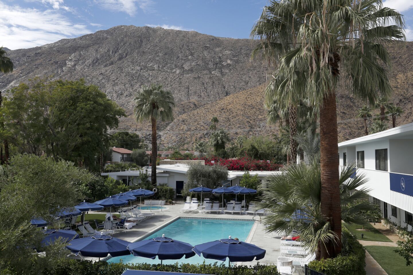 What's new in Palm Springs