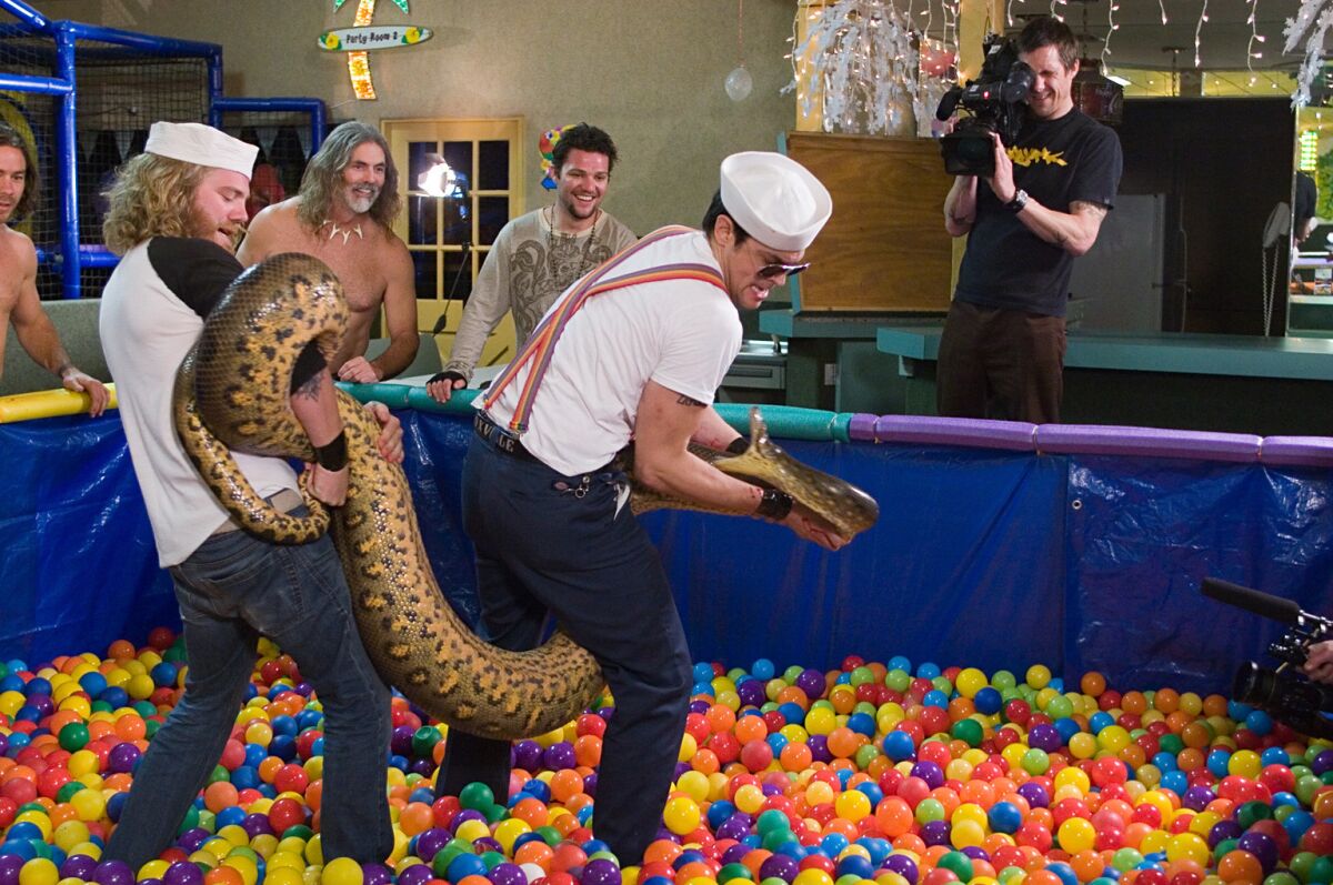 A man in a ball pit straddles a giant snake 