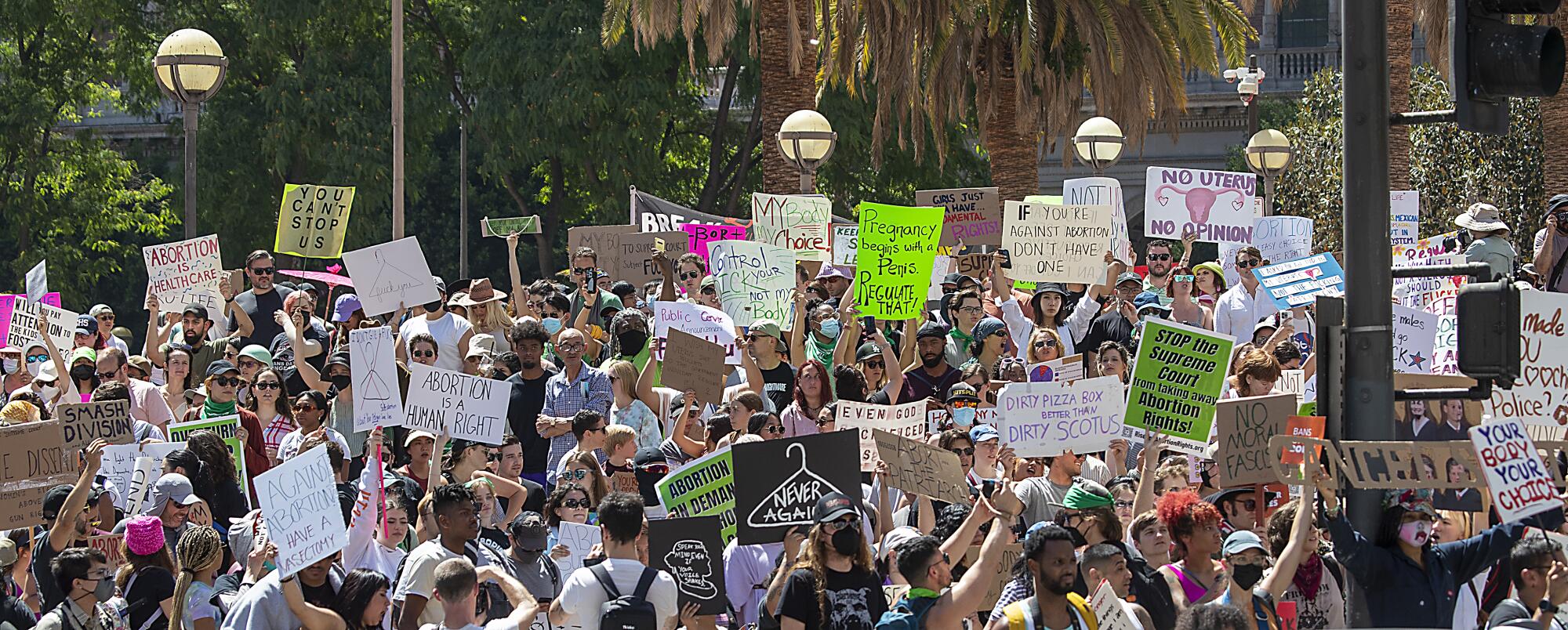 A crowd of protesters holds signs