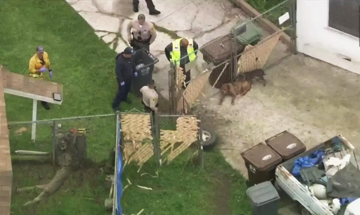 Aerial view of authorities in a yard near two dogs.