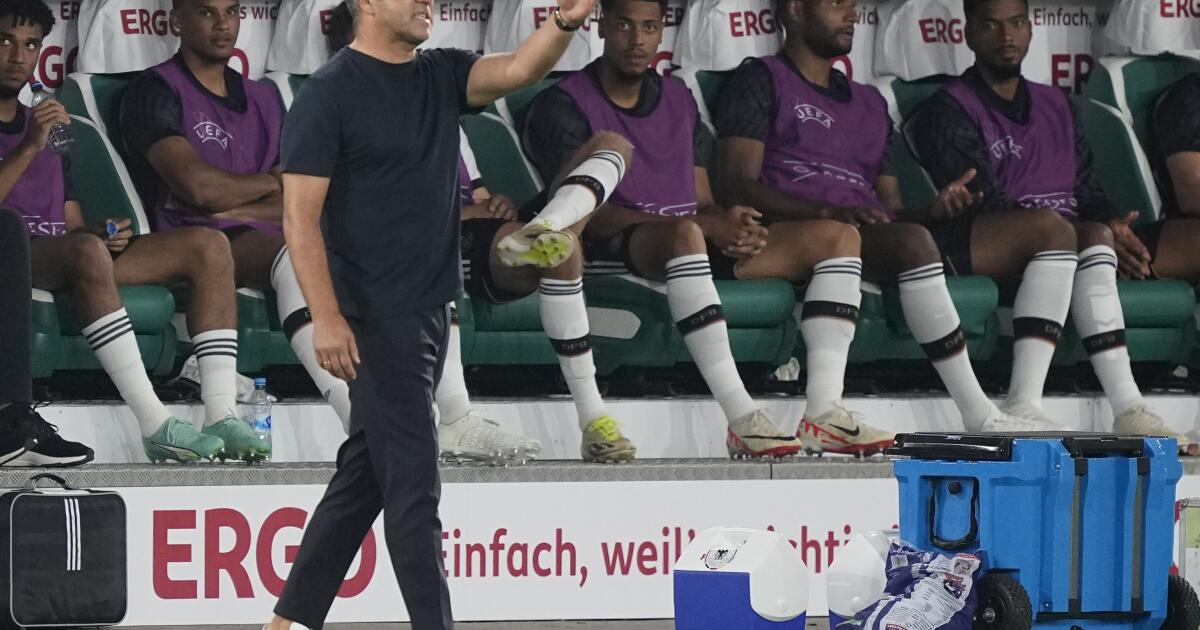 Hansi Flick, als Deutschland-Trainer entlassen.  Nagelsmann klingt nach einem Kandidaten