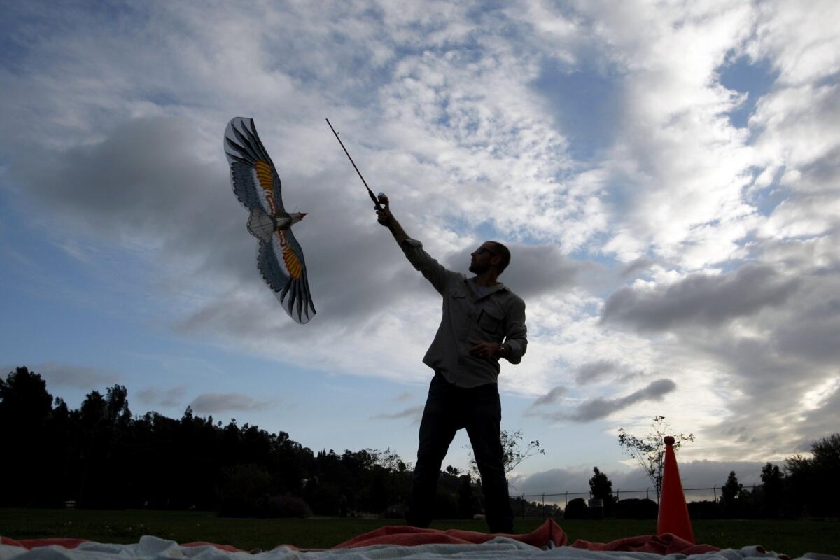 Jason O'Dell flies a kite in the Silver Lake Meadow area, which is popular for all kinds of park activities.