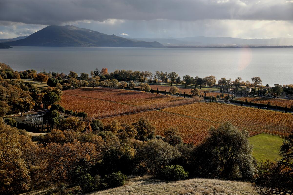 Fields are seen next to a body of water with a mountain in the distance.