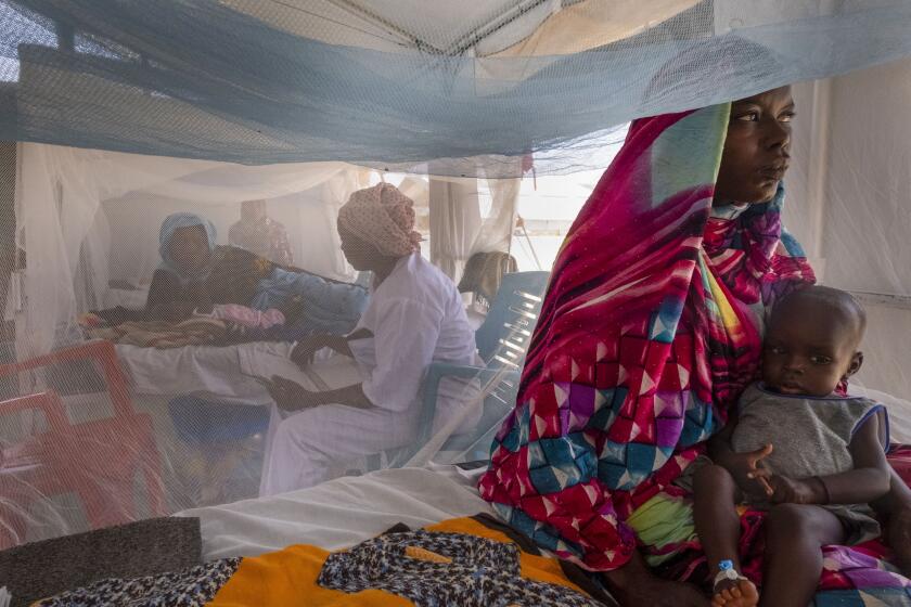 Niños sudaneses que sufren desnutrición reciben tratamiento en una clínica de MSF en el campamento Metche, Chad, cerca de la frontera con Sudán, el sábado 6 de abril de 2024. (AP Foto/Patricia Simon)