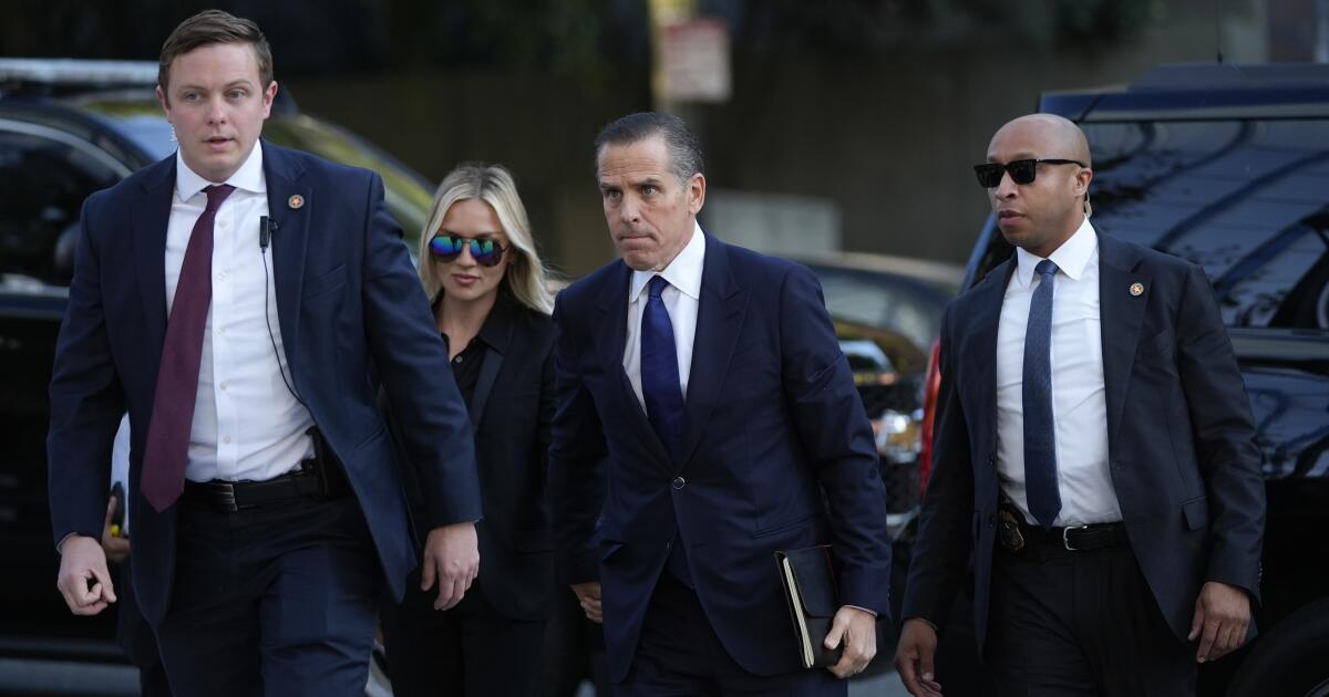 Hunter Biden pleads guilty to avoid prosecution after gun possession conviction