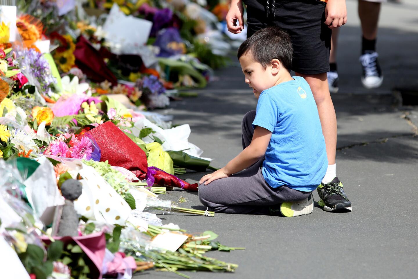 New Zealand mosque attacks