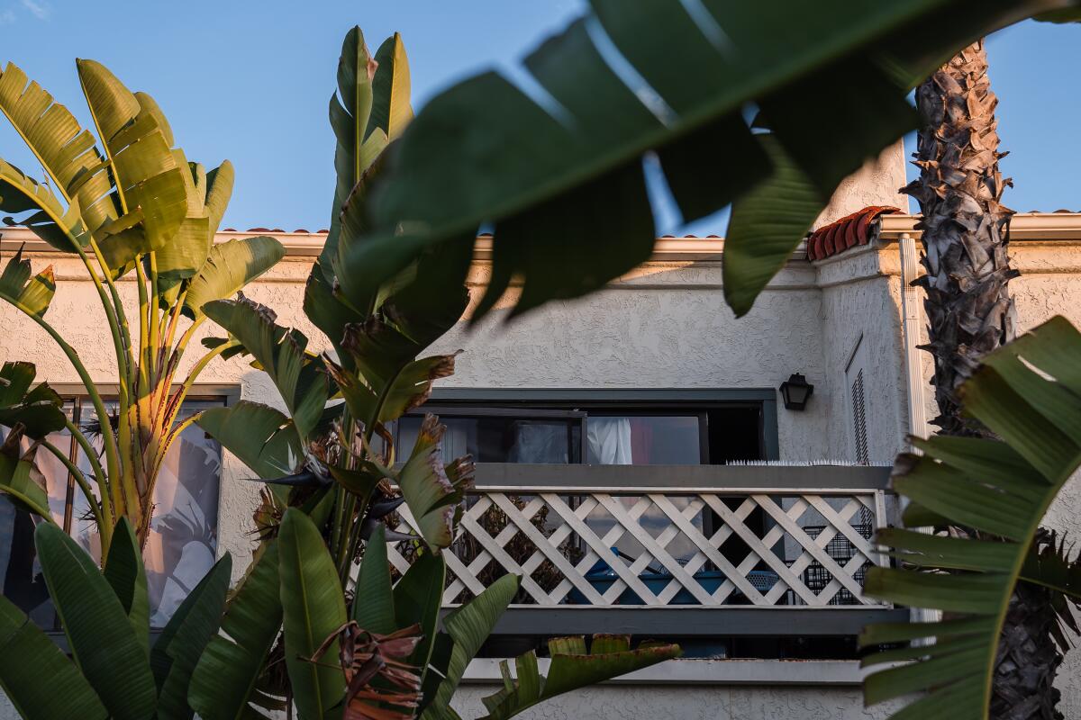 A view of a condo balcony framed by foliage