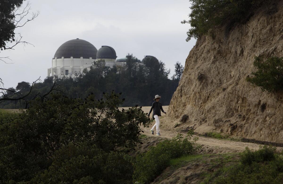 Griffith Observatory can be seen from one of the higher trails in the park, which is more than 4,200 acres.