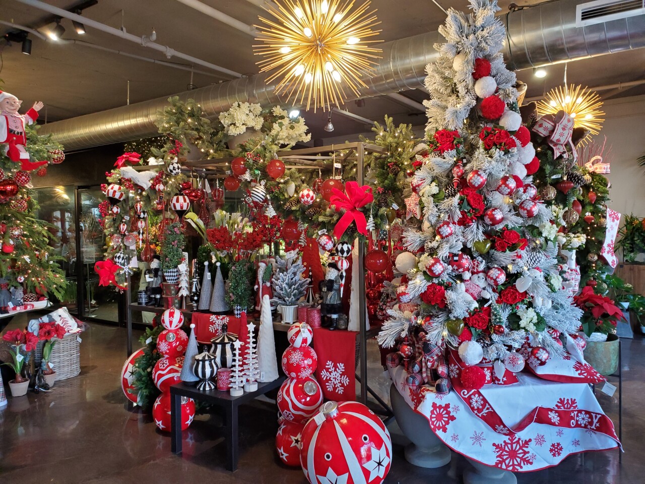 Adelaide's flower shop filled its front space at 919 Silverado St. with holiday decor.