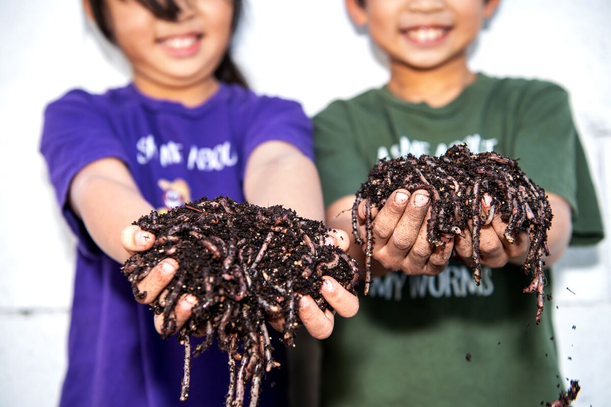 Youngsters hold worms wriggling in mounds of dirt in their hands.