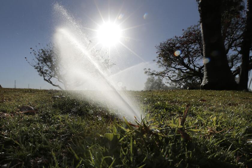 Marina Vista Park in Long Beach uses conservation-friendly sprinkler heads to water the athletic fields twice a week.