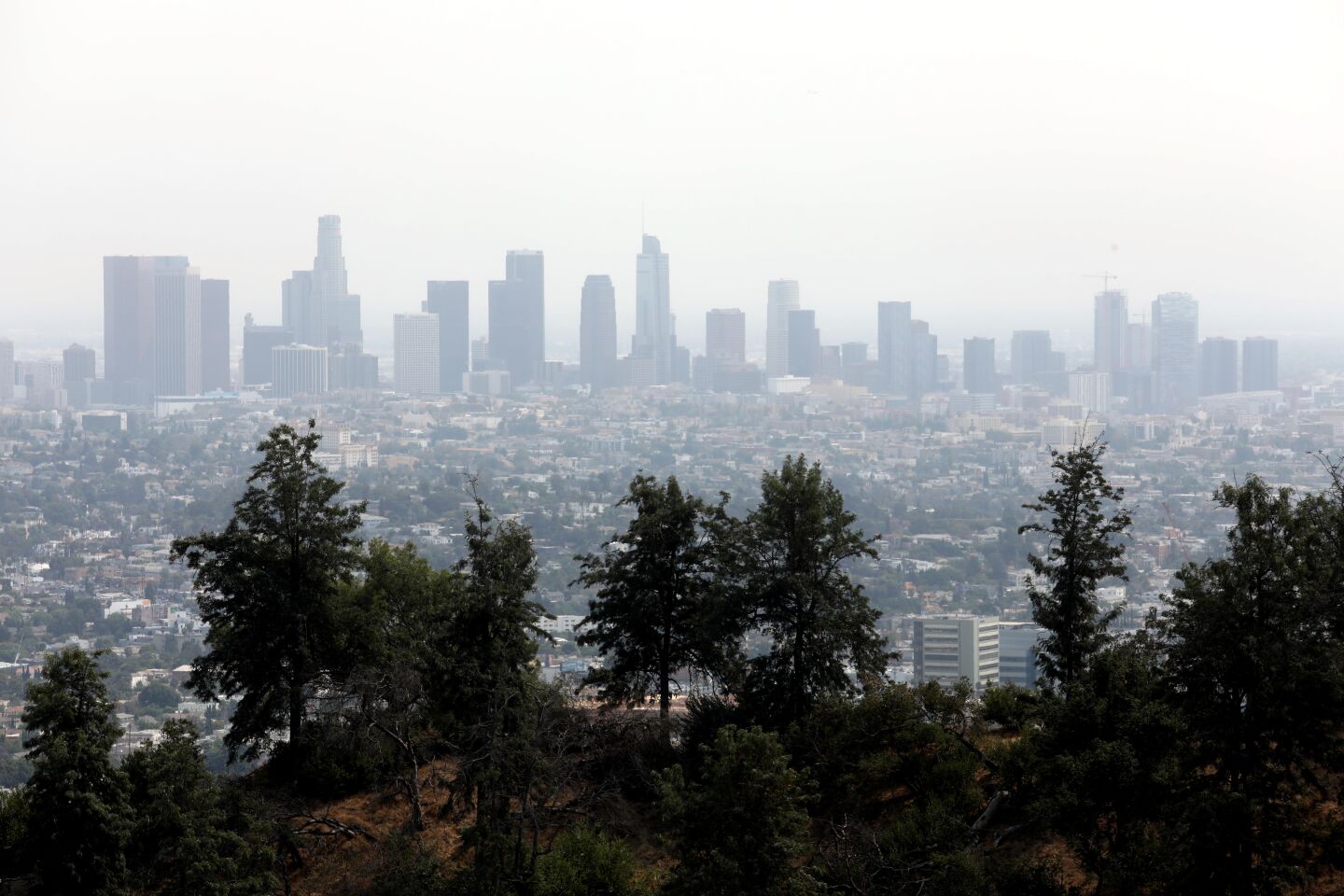 los angeles sunset smog