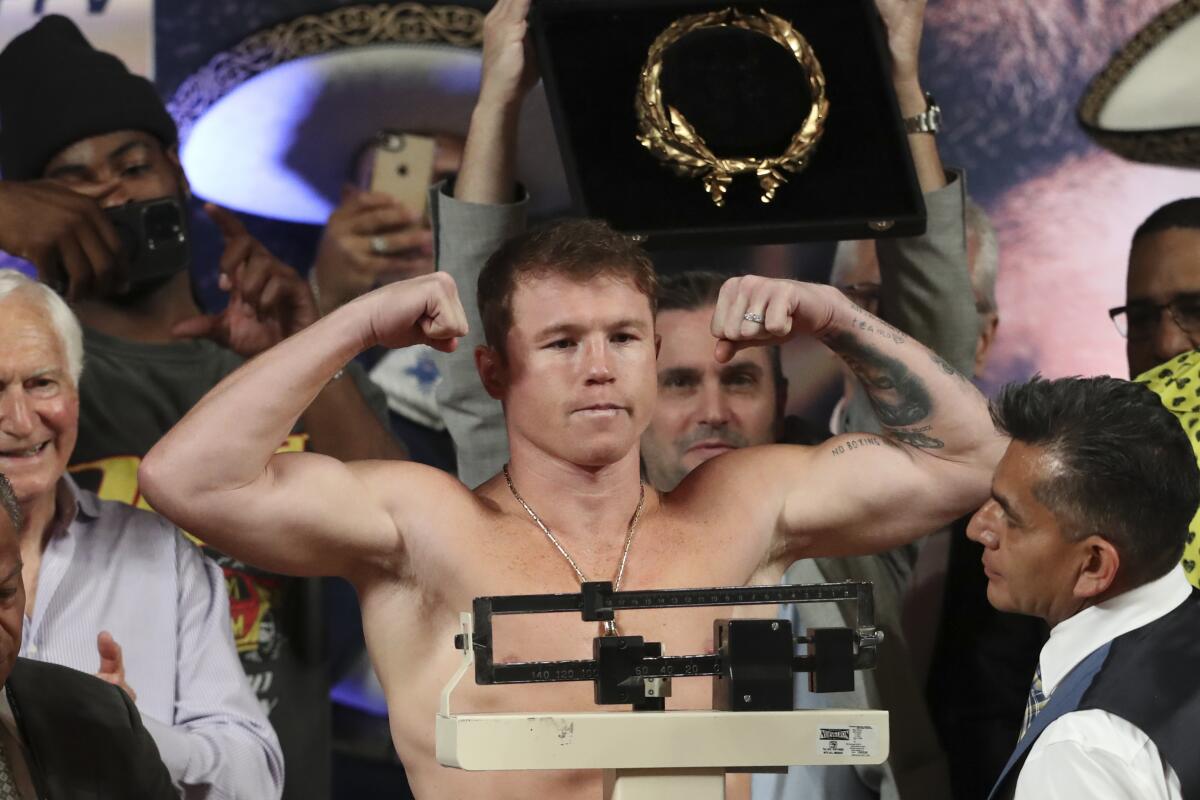 Boxer Saul "Canelo" Alvarez of Mexico raises his arms and flexes his biceps while standing on a scale 