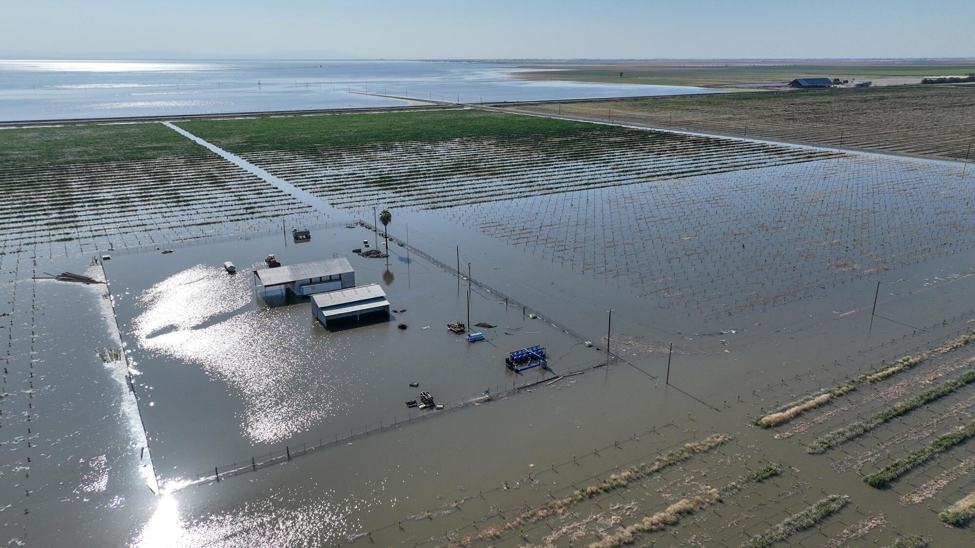 An aerial view of Makram Hanna's flooded pistachio orchard